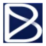 Blink logo
